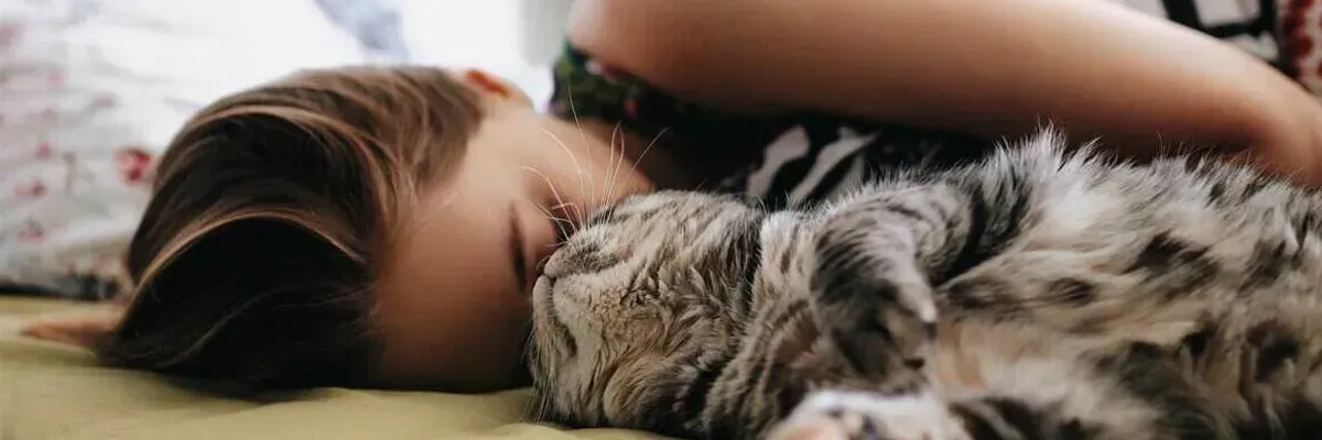 고양이와의 일상이 만들어내는 차분한 생활 분위기